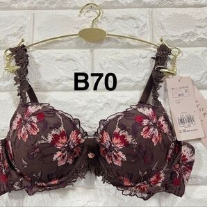 【超お買い得】トリンプ プレミアム フロラーレ FL609 ブラジャー ブラウン B70