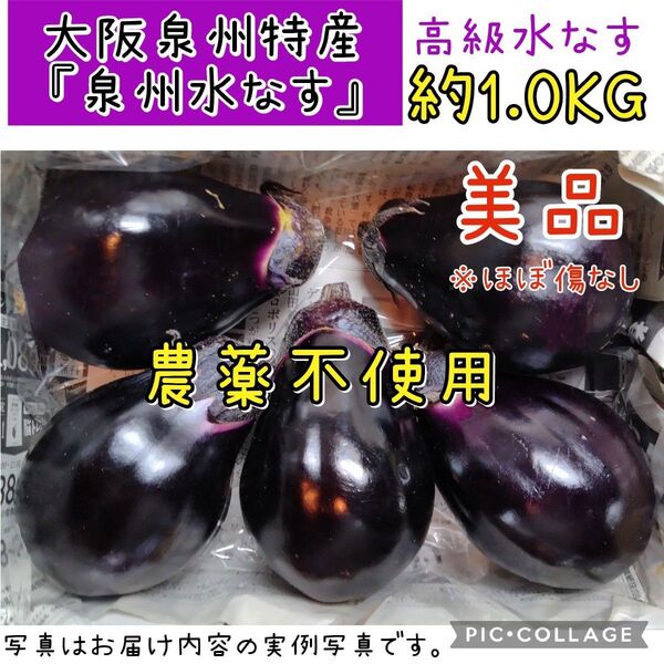 【美品】泉州水なす 大阪泉州産 農薬不使用 ゆうパケットプラス 高級水なす