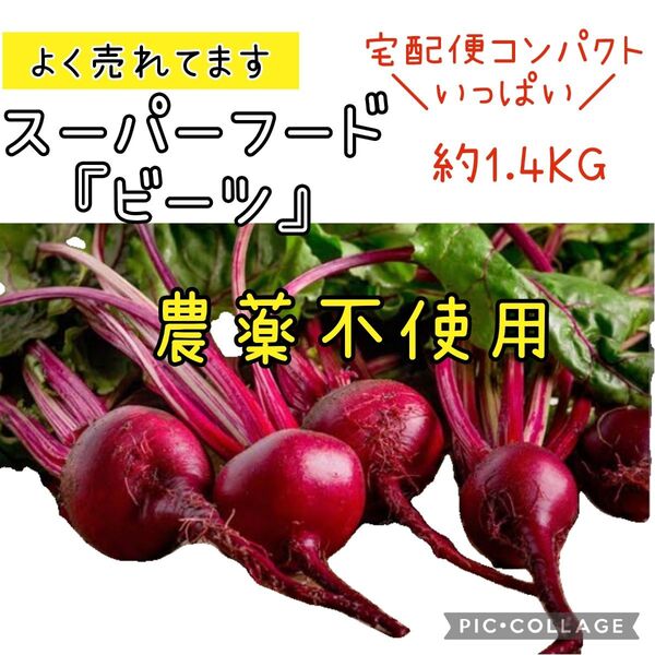 ビーツ 葉なし実のみ 農薬不使用 鉄分豊富 スーパーフード 宅配便コンパクト
