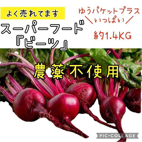 ビーツ 葉なし実のみ 農薬不使用 鉄分豊富 スーパーフード ゆうパケットプラス