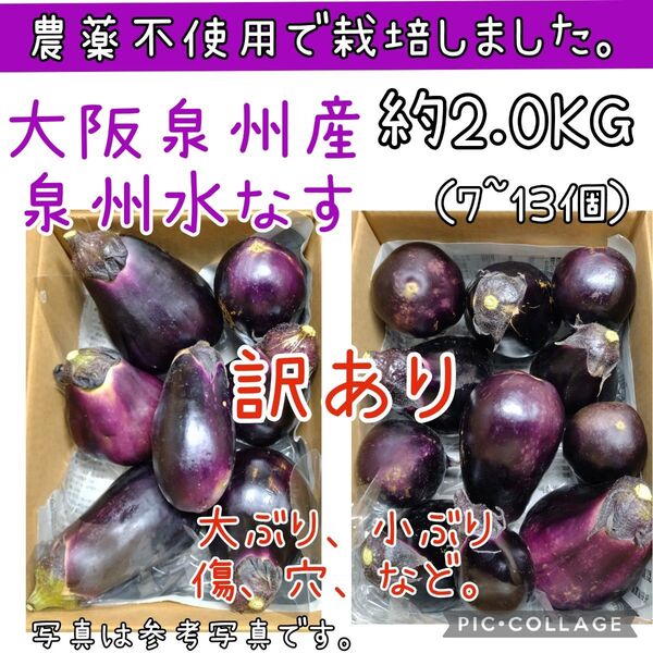 【訳あり】泉州水なす 大阪泉州産 農薬不使用 高級水なす 2kg