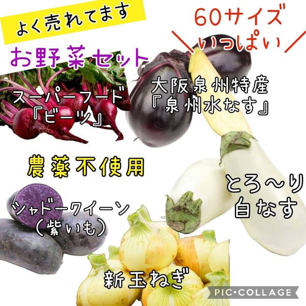 野菜セット 泉州水なす 白なす 新玉ねぎ ビーツ シャドークイーン 農薬不使用