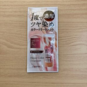 カラ−トリートメント ダークブラウン 試供品