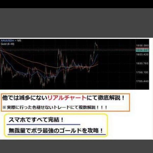 ★FX スマホFX 驚異の無裁量GOLD専用裏技手法★スマホで完結★損切りや利確もルールとしてしっかり設定★定価15000円★
