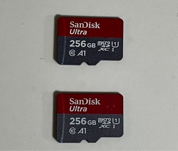 SanDisk microSDカード (microSDXCカード)256GB 正規品 任天堂Switchでフォーマット済み
