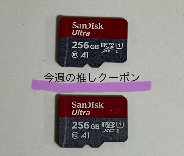 SanDisk microSDカード (microSDXCカード)256GB 正規品 任天堂Switchでフォーマット済み