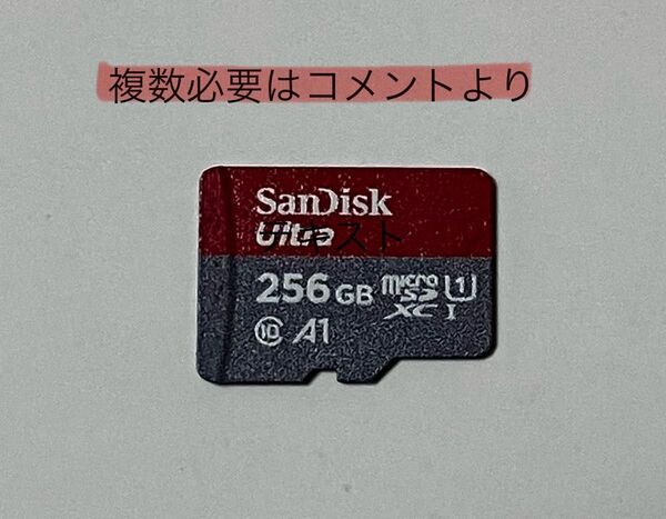 SanDisk microSDカード (microSDXCカード)256GB 正規品 任天堂Switchでフォーマット済み