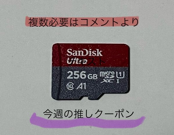 SanDisk microSDカード (microSDXCカード)256GB 正規品 任天堂Switchでフォーマット済み