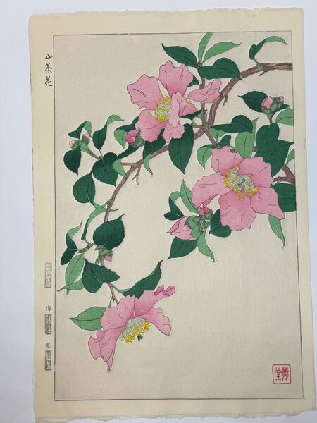 No234 木版画 河原崎奨堂【サザンカ】芸艸堂版 大判 彫長島 真作保証