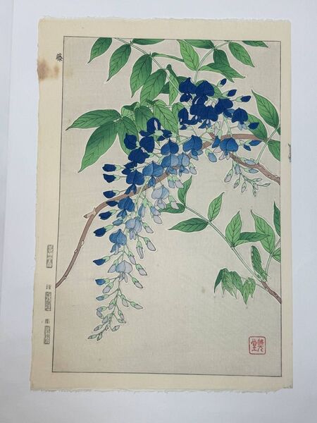 No228 木版画 河原崎奨堂【藤】芸艸堂版 大判 彫長島 摺吉田 真作保証