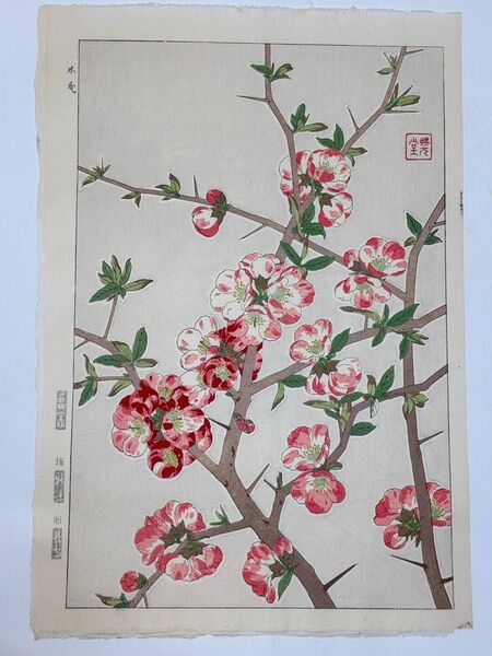 No225 木版画 河原崎奨堂【ボケ】芸艸堂版 大判 彫長島 摺吉田 真作保証