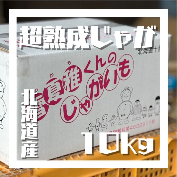 超熟成じゃがいも 10kg ※特別価格