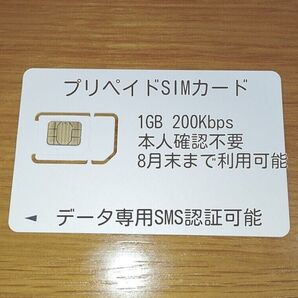 プリペイドsimカード データ専用 SMS認証可能