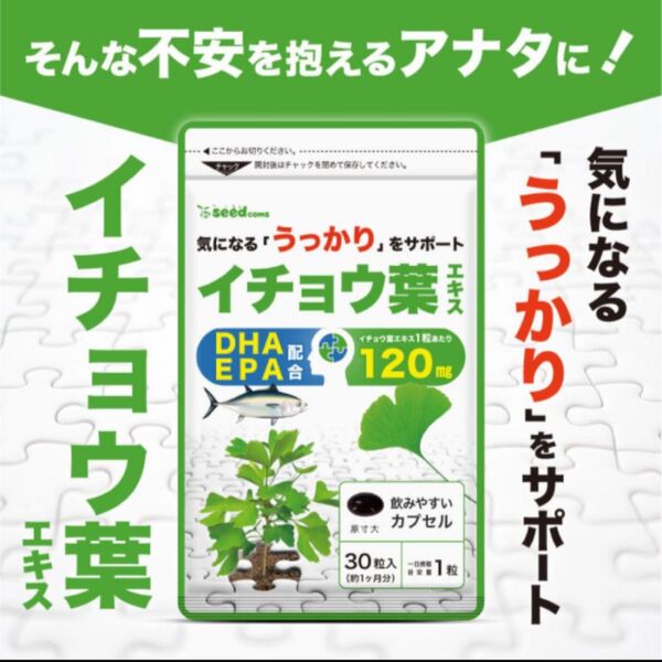 イチョウ葉エキス 約1ヵ月分 2袋 DHA EPA フラボノイド配糖体24%以上 テルペンラクトン6%以上