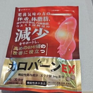 カロバーンEX 60粒