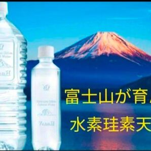 水素珪素天然水 VanaH 1.9リットル×6本×2箱 計12本