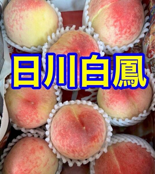 【和歌山県産★日川白鳳 】約1.2kg ご家庭用 5〜8玉