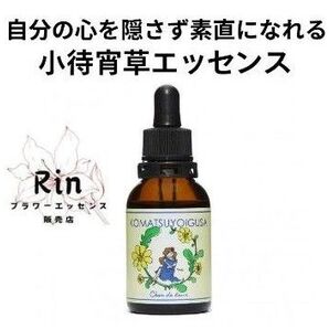 小待宵草フラワーエッセンス フラワーエッセンスのシャンドゥルール