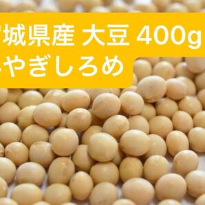 宮城県産 大豆 400グラム みやぎしろめ 送料込み