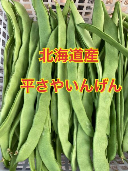 北海道産 平さやいんげん 800g
