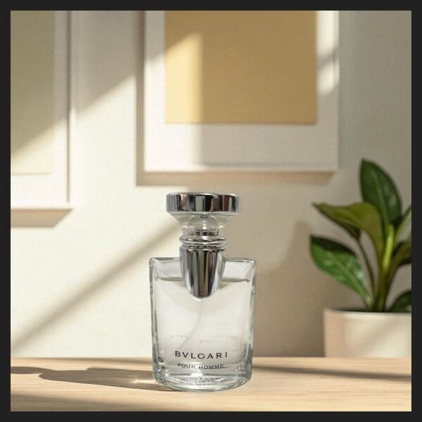 BVLGARI ブルガリ プールオム オードトワレ EDT 30ml 残量90%