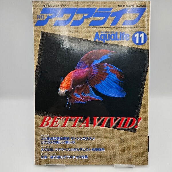 月刊 アクアライフ 1996年 11月号 BETTA VIVID! ベタ 熱帯魚 水草 雑誌 バックナンバー ショーベタ