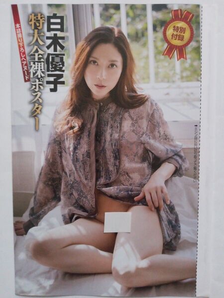 白木優子 ロングポスター
