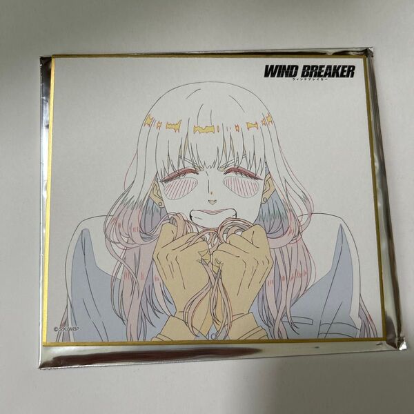 WIND BREAKER ウィンブレ 色紙コレクション 椿野 TSUTAYA ウィンドブレイカー cloverworks