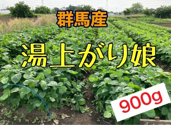群馬産枝豆☆湯上がり娘☆900g