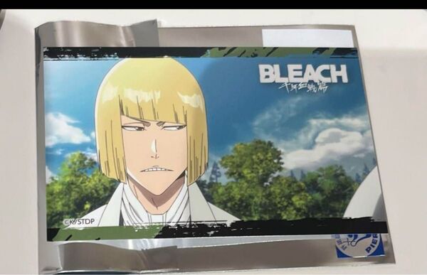 BLEACH ブリーチ プリンセスカフェ 平子真子 トレカ カード