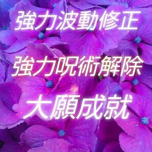 強力*呪術解除〝叶うスピードが違います〟超強力波動修正 大願成就