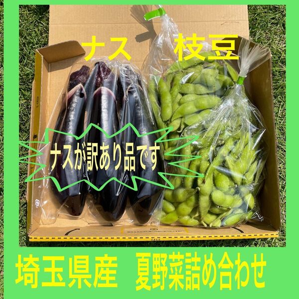 埼玉県産 夏野菜詰め合わせ※ナス訳ありです。
