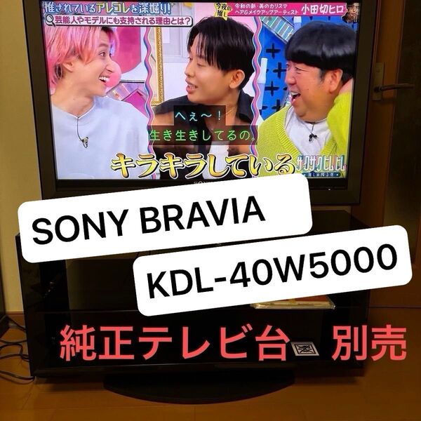 ソニー テレビ KDL-40W5000 SONY BRAVIA フルハイビジョン倍速液晶 リモコン 取扱説明書 他