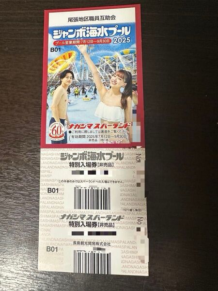 ナガシマスパーランド 海水ジャンボプール 入場券