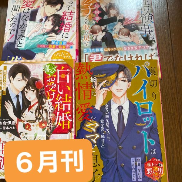 裏切りパイロットは秘めた熱情愛をママと息子に解き放つ (ベリーズ文庫 さ9-14 極上の悪い男シリーズ) 皐月なおみ/著