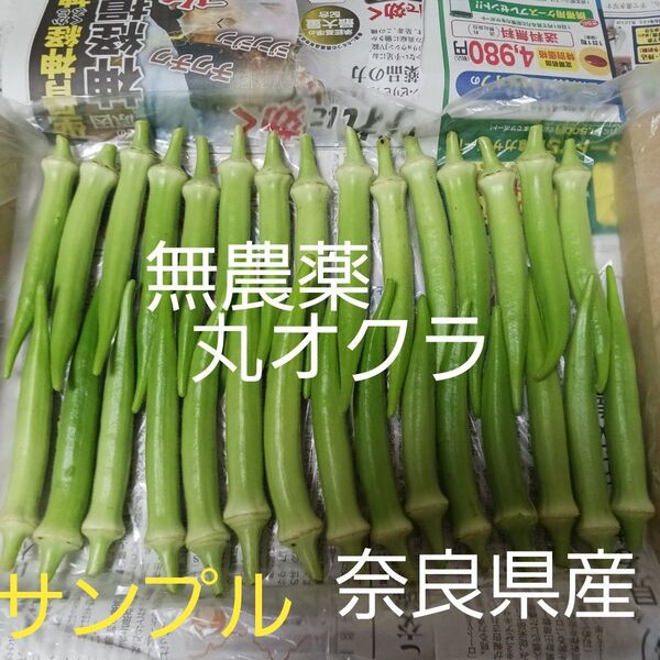 朝採れ 無農薬【丸オクラ】30本 ネコポス 奈良県産。