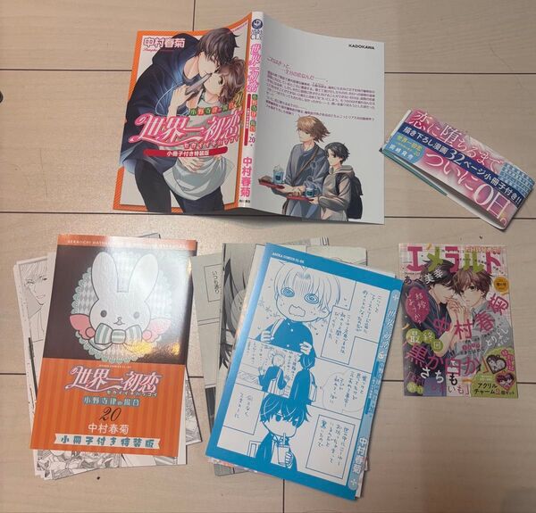 【裁断済みBL】まとめ買いOK!世界一初恋 20 小冊子付き特装版 中村春菊
