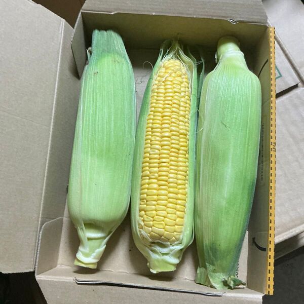 野菜セット!野菜詰め合わせ!とうもろこし3本!