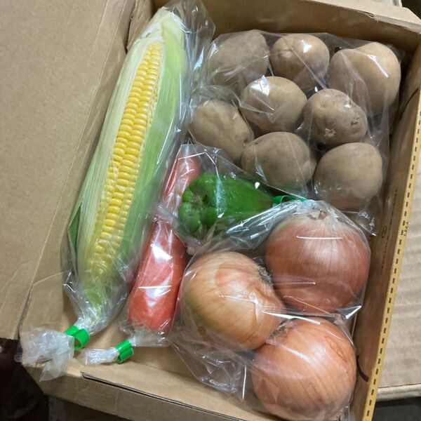 野菜詰め合わせ!野菜セット!じゃがいも玉ねぎにんじんとうもろこしピーマン