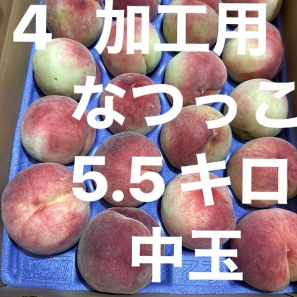 4 加工用 なつっこ 中玉 22個入り 4,000円 5.5kg以上 固め多い お買い得