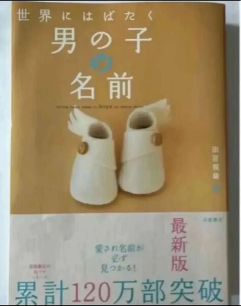 世界にはばたく ベビー 赤ちゃん 男の子 名前 命名 出産 田宮規雄・著