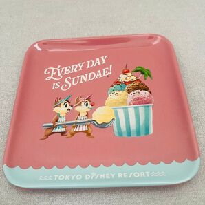 新品未使用 東京ディズニーリゾート サニーサニーサマー スーベニアプレート ディズニーランド