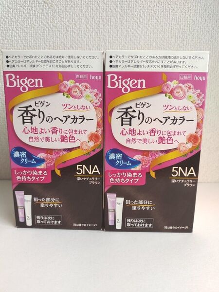 ビゲン 香りのヘアカラー クリームタイプ 5NA 2箱 深いナチュラリ―ブラウン