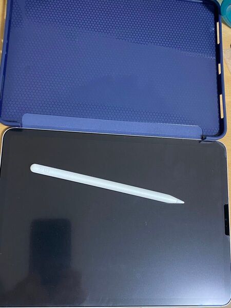 美品 Apple iPad Pro 11インチ第1世代 64GB 【動作確認済】 Apple Pencil 第二世代