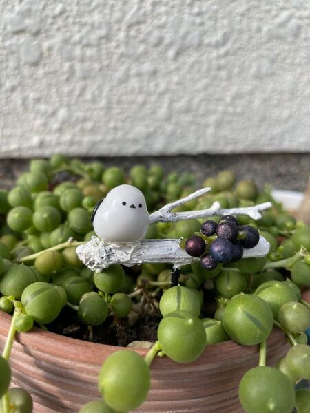 シマエナガのガーデンピック4種 各1個です。植木鉢にアクセントを可愛いですよ。