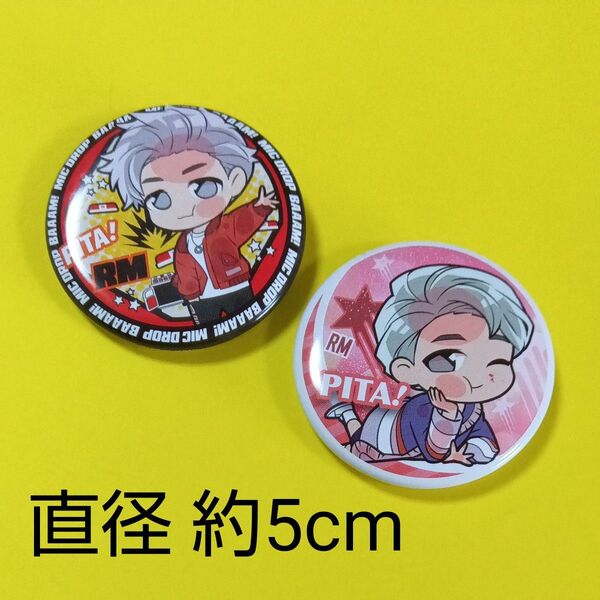 BTS bts 防彈少年團 防弾少年団 キムナムジュン RM rm ラプモン タイニータン TinyTAN 缶バッジガチャ ガシャ
