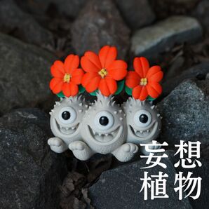 【数量限定】パキポディウム ウィンゾリー 多頭 フィギア