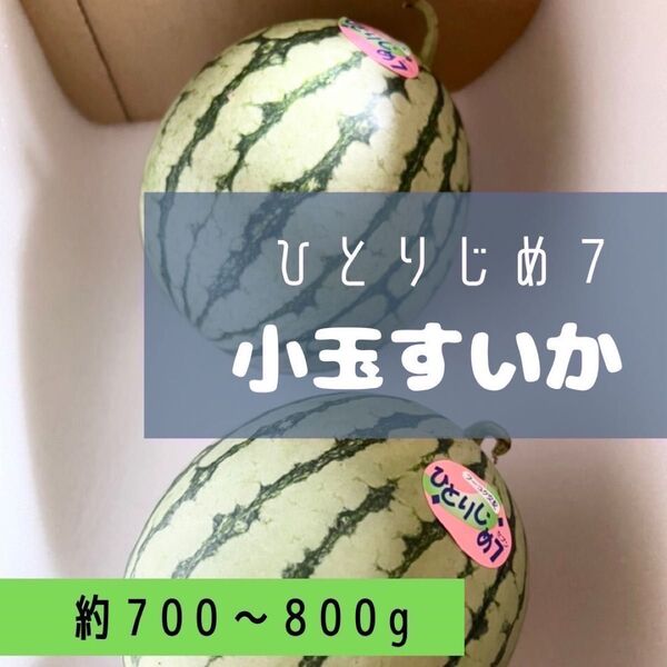 スイカ ひとりじめ7 約700〜800g 2玉