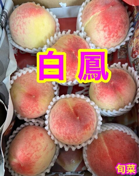 桃 日川白鳳 タイムセール 約1.2〜1.4キロ 5〜8玉 ご家庭用