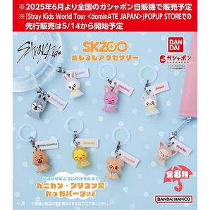 SKZOO めじるしアクセサリー